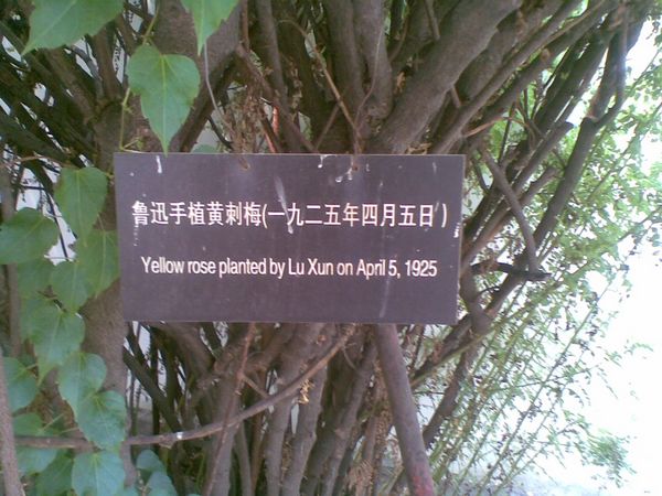 20100627(007)