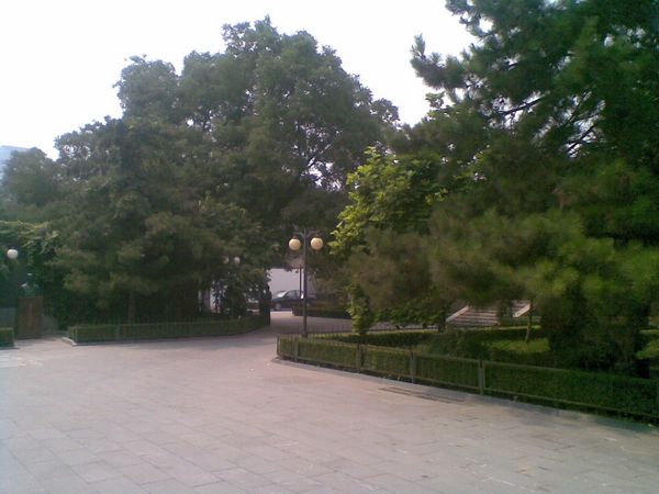 20100627(014)