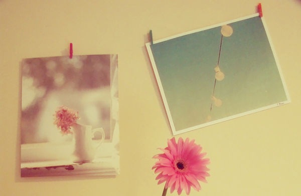 704281179e9036eef6039ecd