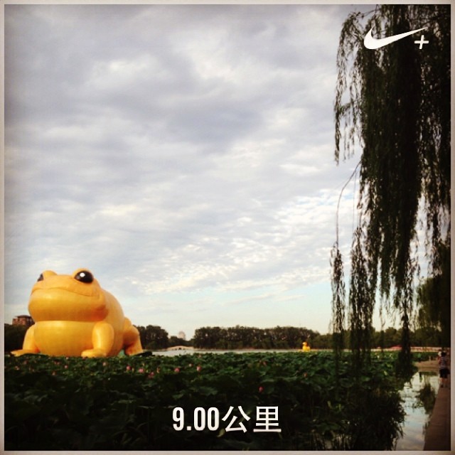 10499046_341567779331820_1647865761_n