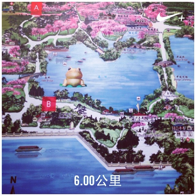 926842_266260613560933_997415605_n