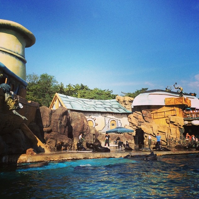 10598682_856027757742413_661518242_n