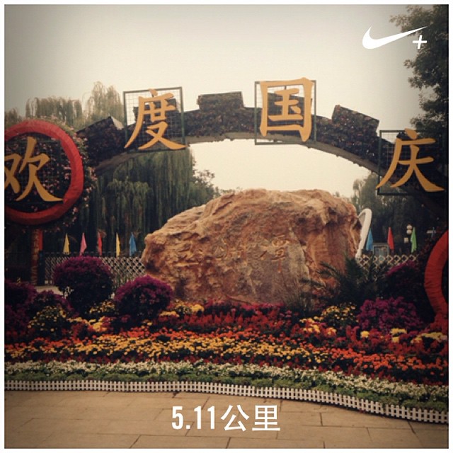 10623662_325657730950298_571789666_n