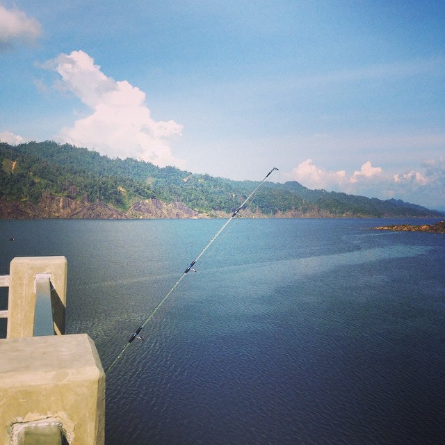 10665521_295029457352615_1364313328_n