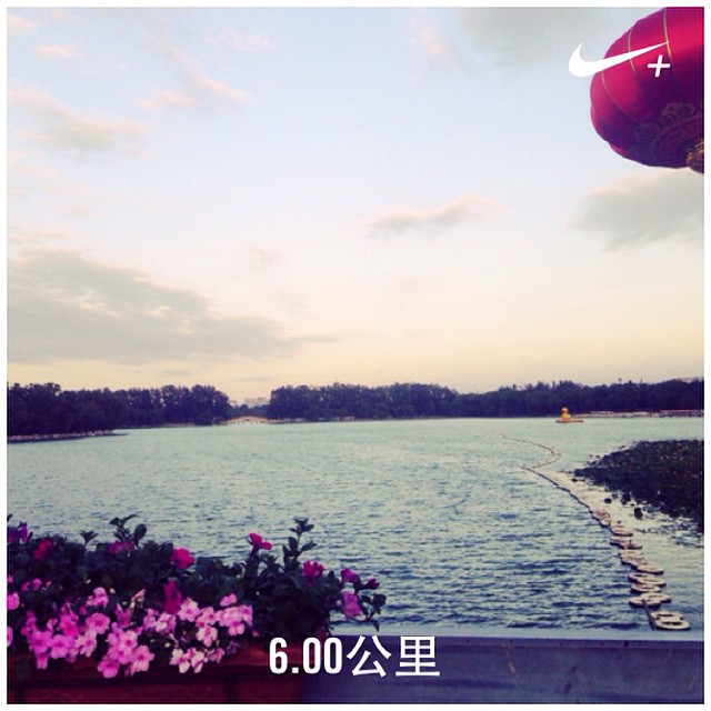 1742740_1473939032882483_425737632_n