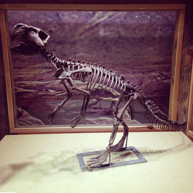 1208325_509771299167524_2023784296_n