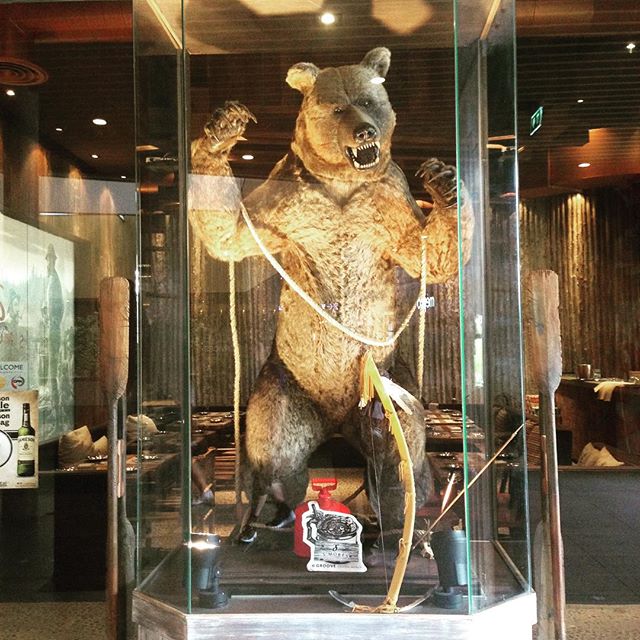 11189883_1615838815348957_1549001675_n