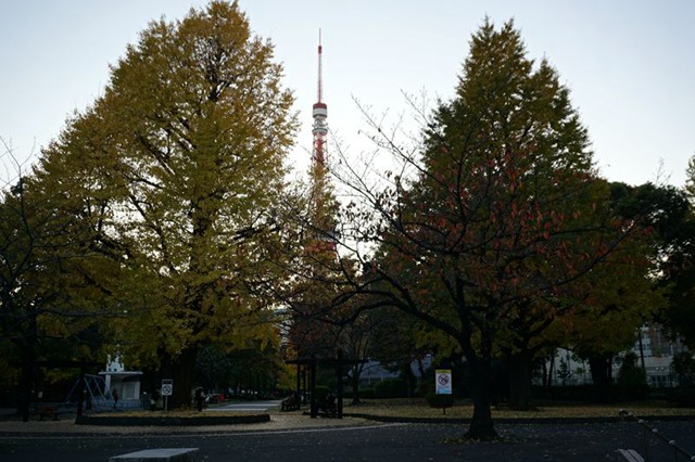 DSC00028_副本